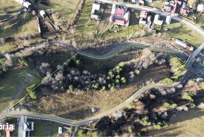 Teren de 14927 mp, în Vatra Moldoviței - 3
