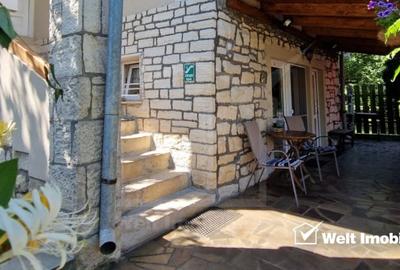 Colt de Rai in Mera - Casa cu Gradina si Livada, la doar 14 km de Cluj-Napoca - 2