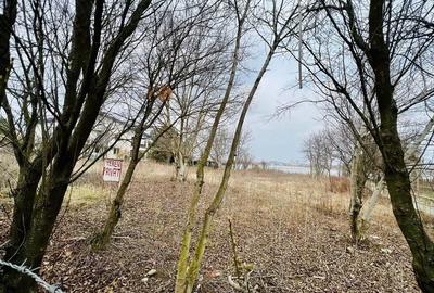 2066 mp teren deschidere lacul Grivita 24m zona deosebita in Damaroaia - 10