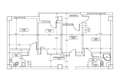 Dimitrie Leonida - 4