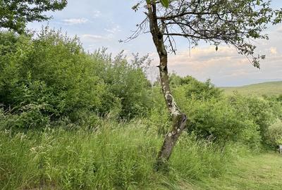 Spațiu comercial, în Central - 3