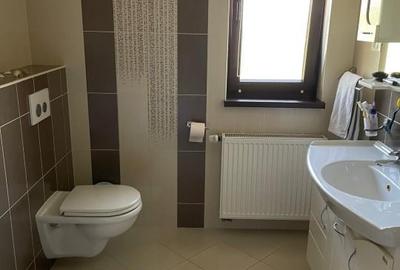 Casa de vanzare in IZVIN jud. Timis - 14