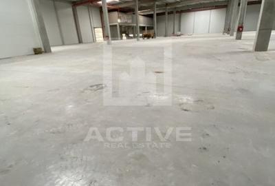 Spațiu industrial, 10000 mp în Someșeni - 3