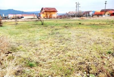 Spațiu comercial, în Răscruci - 3