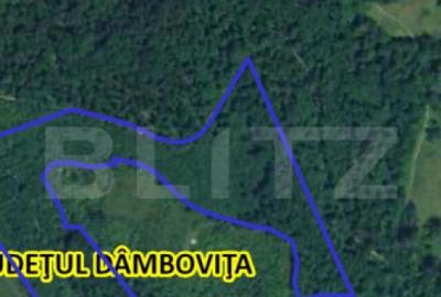 Teren extravilan, 16 ha cu padure ?i vedere panoramica ?? - 3