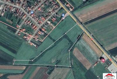 Teren extravilan 3,56 hectare in Dorolt ( ID 22873) - 1
