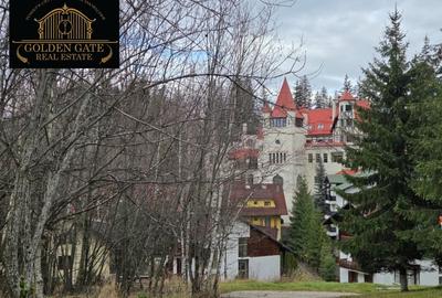 Oportunitate unica in Poiana Brasov – Vila cu 9 camere si teren generos - 2