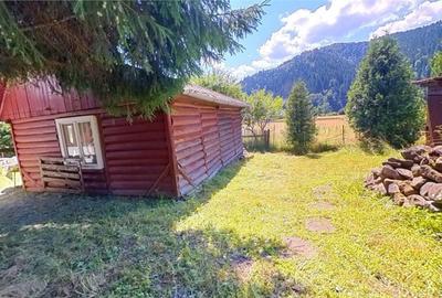 FILM Tur LIVE! Casa de vacanta, intr- o ariere admirabila,Lu - 1