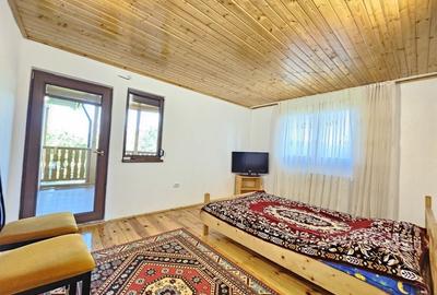 Vila superba de vanzare in Vintila Voda, Buzau D+P+1 si anexe - 32