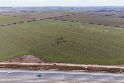 Teren Construcții intravilan de 29777 mp, în Ștefăneștii de Jos - 4