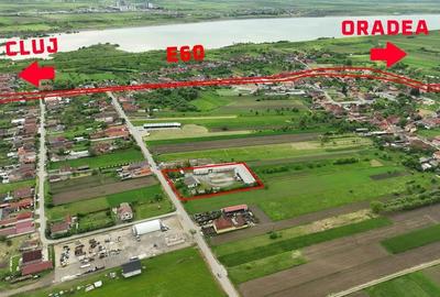 Spațiu industrial, 1154 mp în Lugașu de Jos