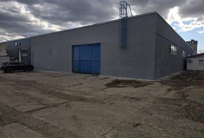 Spațiu industrial, de 4,300 mp, în B-dul București - 2