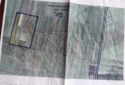 Teren agricol extravilan de 354200 mp, în Daia - 2