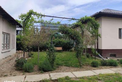 Casă cu 2 camere în Albești - 3