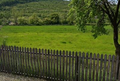 Teren Construcții intravilan de 3150 mp, în Mălini - 2