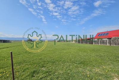 Teren agricol extravilan de 1500 mp, în Șelimbăr - 6