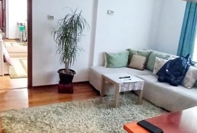 Apartament 2 camere, parter , 40 mp , zona Ronat - 1