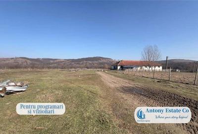 Oportunitate de investitie, Ferma Padurea Galbena - Cehal, Marghita - 8