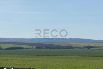 Teren de 42050 mp, în Tăut - 1