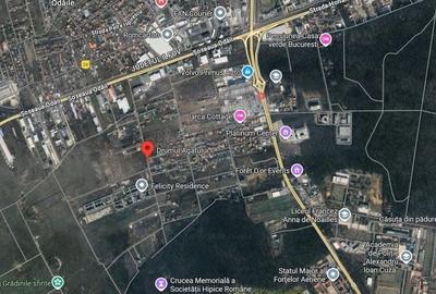 TEREN 1.000 mp langa padure pentru vila - 3