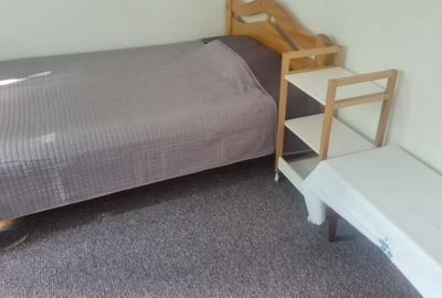 Apartament cu 2 camere semidecomandat în Ultracentral - 4
