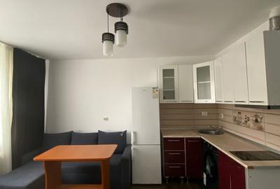 Apartament cu 2 camere semidecomandat, mobilat în Podu Roș - 4