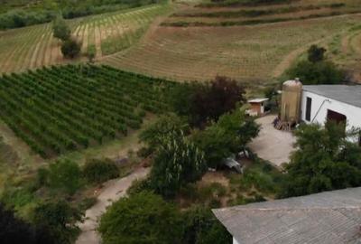 Teren extravilan de 230000 mp, în Vernești - 2