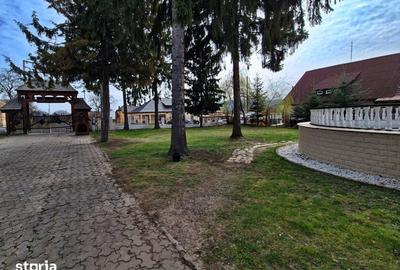 Casă cu 9 camere cu Teren 3500 Mp în Ocna Șugatag - 5