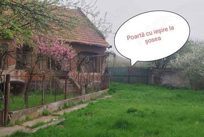Casa cu curte ?i gradina - 2200mp - 6