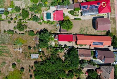 Casa P+M de vanzare Vladimirescu - 18