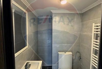 Casă cu 6 camere cu Teren 7661 Mp în Măneciu - 4