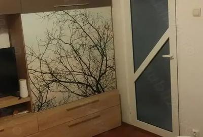 Apartament 2 camere Renovat - Complet MOBILAT si Utilat - Zona Independentii Biserica Noua - 4