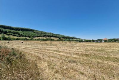 RECO parcele Betfia - 1