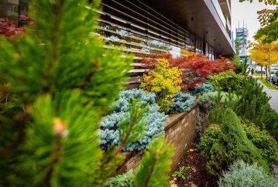 Apartament superb 2 camere+loc de parcare-Urban Coresi - 3