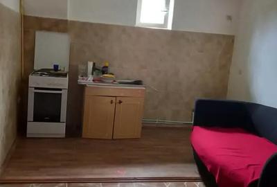 Casă cu 3 camere cu Teren 210 Mp în Făgăraș - 3