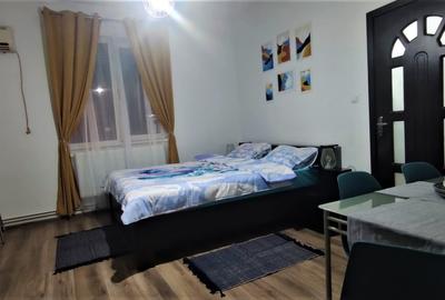 VAND APARTAMENT  DOUA CAMERE CU INTRĂRI SEPARATE - 20