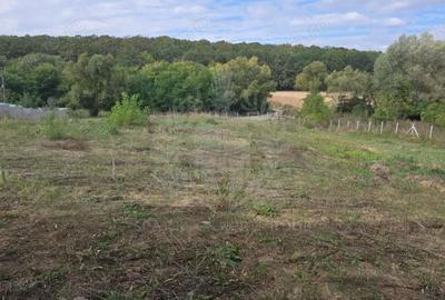 Teren de 2700 mp, în Plopu - 1