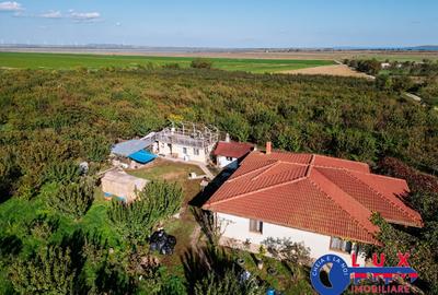 ID 7785 LIVADA SABANGIA DE VANZARE - 30