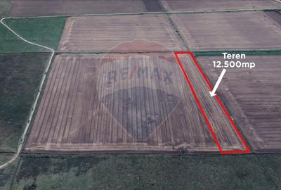 Teren agricol extravilan de 12500 mp, în Dumbrava - 7