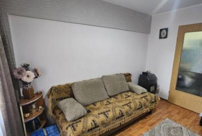 Camera de camin, 22 mp, zona Valea Rosie - 3