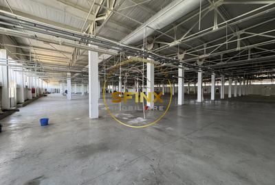 Spatiu industrial modern, 15.000 mp teren, 5.300 mp construiti, DN1A - 12