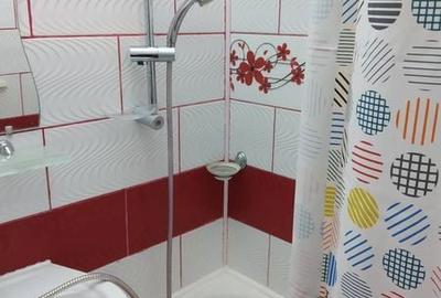 Apartament cu 2 camere în Șega - 7