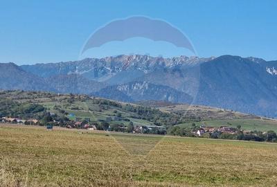 Teren Construcții intravilan de 2700 mp, în Bran - 2