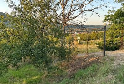 Teren intravilan 1.000 mp loca?ie deosebita, priveli?te ?i lini?te Simleu Silvaniei - 1