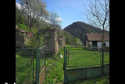 Teren de 3000 mp, în Certeju de Sus - 4