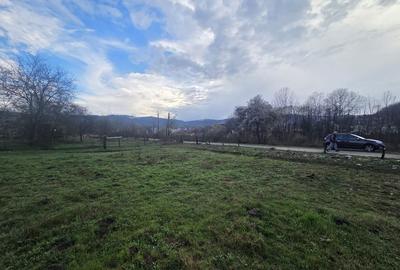Teren de 8000 mp, în Vlădesti - 10
