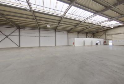 Spațiu industrial, de 727 mp, în Exterior Sud - 2