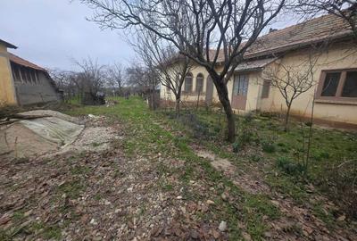 Casă cu 4 camere în Segarcea-Deal - 7