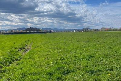 Teren de 3600 mp, în Vicovu de Sus - 5