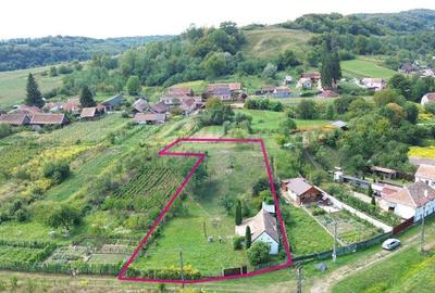 Casa de vacan?a in sat sasesc, Moarda? jude?u... - 5